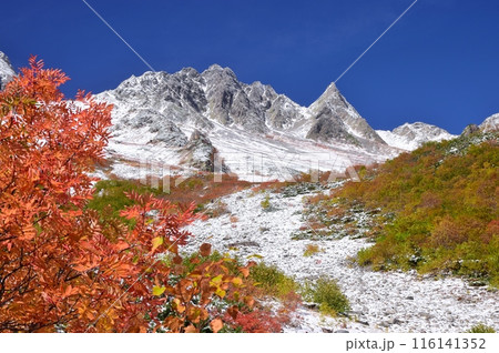 涸沢カールの紅葉と涸沢岳 116141352