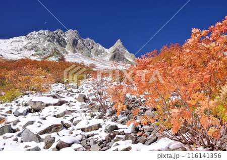 涸沢カールの紅葉と涸沢岳 116141356