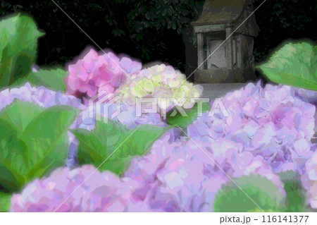 小さな祠と紫陽花の花 多重露光 小さな祠と紫陽花の花 多重露光 116141377