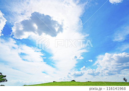 夏の雲と木立 116141968