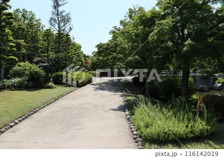 堺市大仙公園内の日本庭園新緑風景 堺市大仙公園内の日本庭園新緑風景 116142019