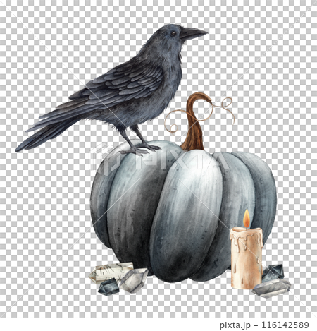 Black pumpkin, realistic black raven, wax candle with fire and crystals. Watercolor illustration in gothic style. Suitable for holiday and autumn themed Halloween designs, cards, posters, decorations 116142589