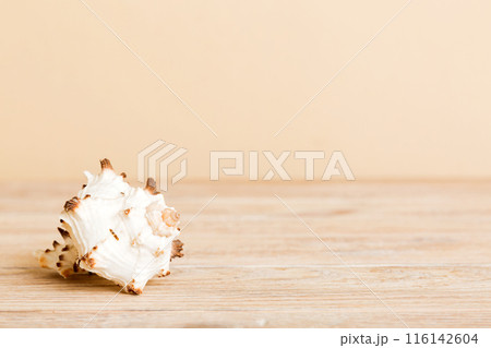 Summer time concept with sea shells or starfish on a table background with copy space for text 116142604