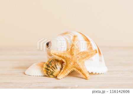 Summer time concept with sea shells or starfish on a table background with copy space for text Summer time concept with sea shells or starfish on a table background with copy space for text 116142606
