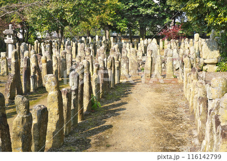 【羅漢寺】 兵庫県加西市北条町北条 116142799