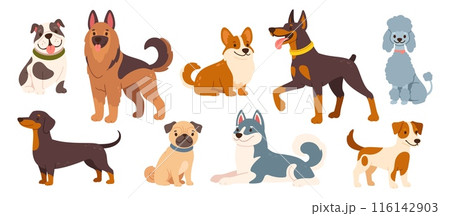 Cute dogs and puppies. Cartoon different breeds pet. Funny doggy characters. Happy friendly canine animals. Pug, corgi, poodle, husky and poodle. Vector set 116142903