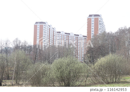Landscape park in the Moscow region, flowering tree branches, spring April 2022. 116142953