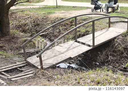 Landscape park in the Moscow region, flowering tree branches, spring April 2022. Landscape park in the Moscow region, flowering tree branches, spring April 2022. 116143097