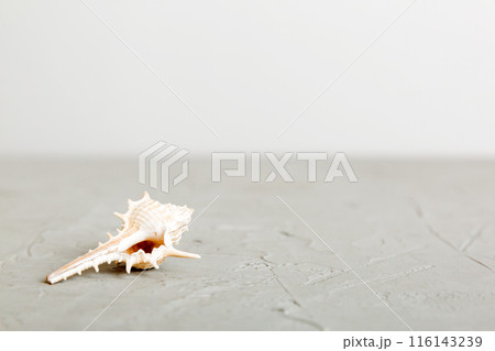 Summer time concept with sea shells or starfish on a table background with copy space for text Summer time concept with sea shells or starfish on a table background with copy space for text 116143239