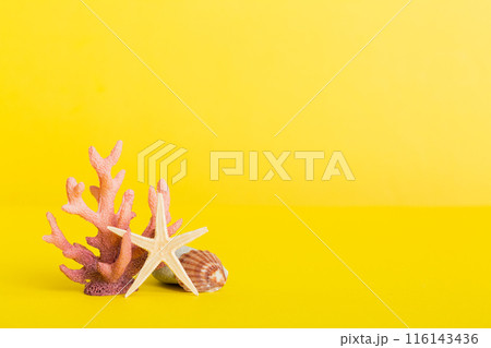 Summer time concept with sea shells or starfish on a table background with copy space for text Summer time concept with sea shells or starfish on a table background with copy space for text 116143436