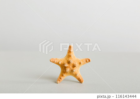 Summer time concept with sea shells or starfish on a table background with copy space for text Summer time concept with sea shells or starfish on a table background with copy space for text 116143444