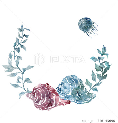 Watercolor and ink hand drawn marine life, sea ocean underwater creatures. fish, shells algae seaweed. Wreath frame illustration, stylized, isolated on white. For zoo shop, aquarium, cosmetics, resort Watercolor and ink hand drawn marine life, sea ocean underwater creatures. fish, shells algae seaweed. Wreath frame illustration, stylized, isolated on white. For zoo shop, aquarium, cosmetics, resort 116143690