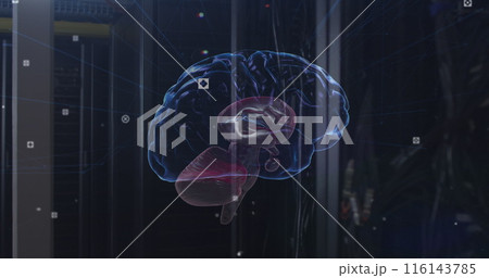 Image of network of connections and brain over server room 116143785