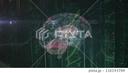 Image of network of connections and brain over server room 116143794