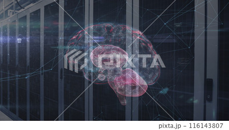 Image of network of connections and brain over data processing and server room 116143807