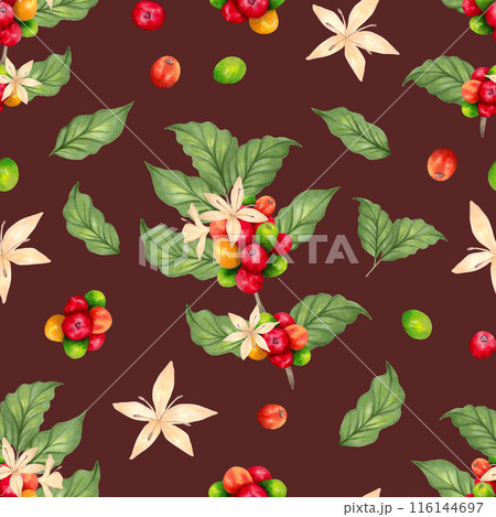 Seamless pattern of coffee branches, berries, flowers. Aroma of Robusta and Arabica varieties. Coffee Day. Watercolor illustration. Suitable for background, coffee packaging. Handmade isolated art. 116144697