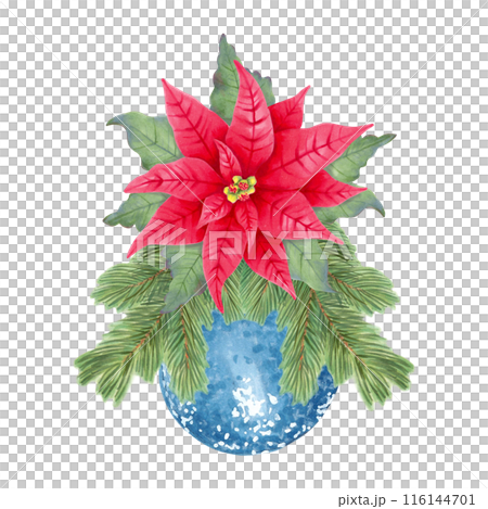 Pine branches are decorated with a poinsettia flower and a blue shiny Christmas tree decoration. Botanical watercolor illustration on the theme of New Year and Christmas. Hand drawn isolated clipart Pine branches are decorated with a poinsettia flower and a blue shiny Christmas tree decoration. Botanical watercolor illustration on the theme of New Year and Christmas. Hand drawn isolated clipart 116144701