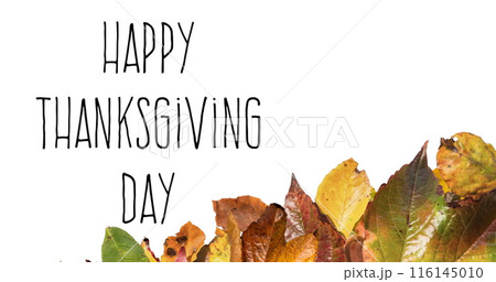 Image of happy thanksgiving day text over autumn leaves on white background 116145010