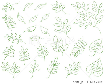 緑の植物のカリグラフィー線画イラストセット 116145304