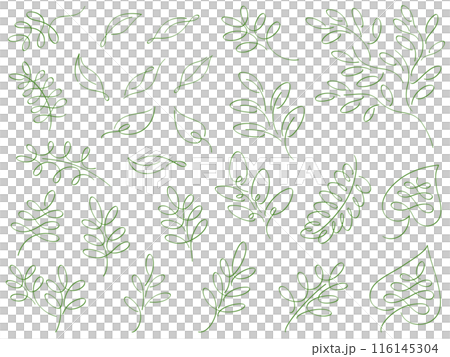 緑の植物のカリグラフィー線画イラストセット 116145304