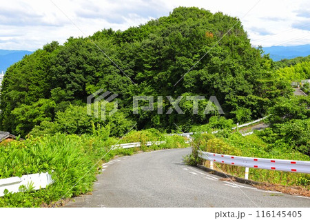 夏の爽やかな高原の道 夏の爽やかな高原の道 116145405