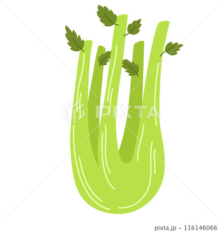 2076_vegetables_celery 116146066