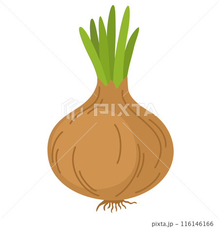 2070_vegetables_oniontops 116146166