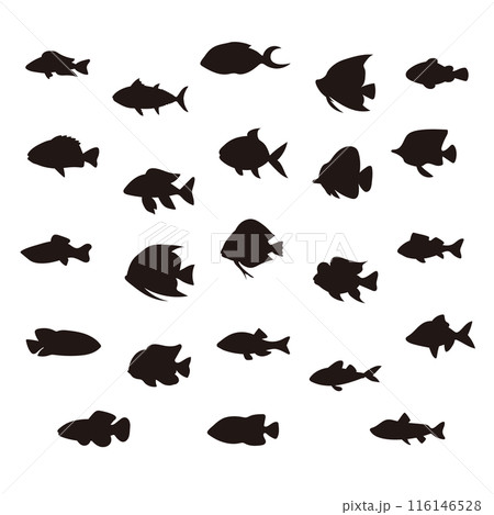 魚シルエットセットイラスト 魚シルエットセットイラスト 116146528