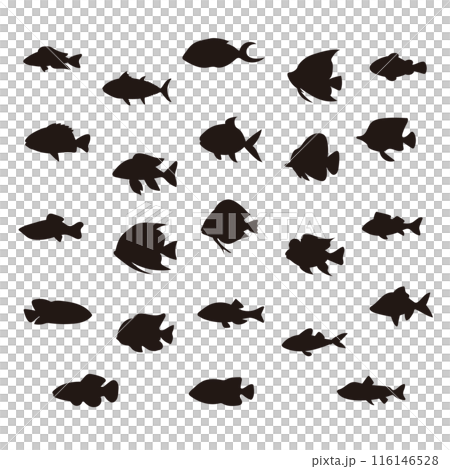魚シルエットセットイラスト 魚シルエットセットイラスト 116146528
