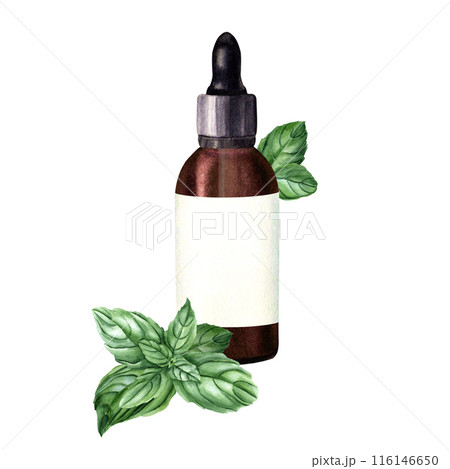 Composition with basil branch and brown glass bottle with dropper and label for essential, cosmetic oil. Hand drawn watercolor illustration isolated on white. For clip art template label Composition with basil branch and brown glass bottle with dropper and label for essential, cosmetic oil. Hand drawn watercolor illustration isolated on white. For clip art template label 116146650