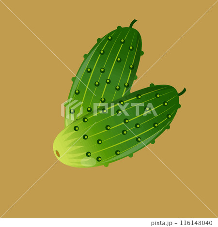 Two simple green cucumbers ilustration Two simple green cucumbers ilustration 116148040