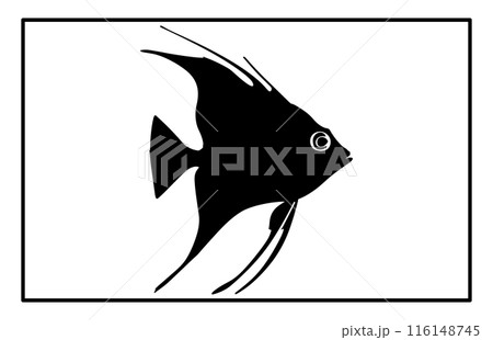 Archer Fish Isolated On White Background. Archerfish unique silhouette design illustration. 116148745