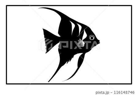 Archer Fish Isolated On White Background. Archerfish unique silhouette design illustration. 116148746
