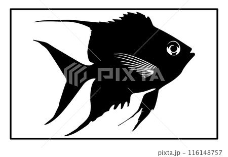 Archer Fish Isolated On White Background. Archerfish unique silhouette design illustration. 116148757