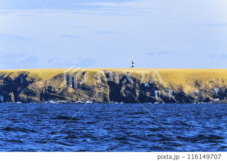 北海道根室市のユルリ島 116149707