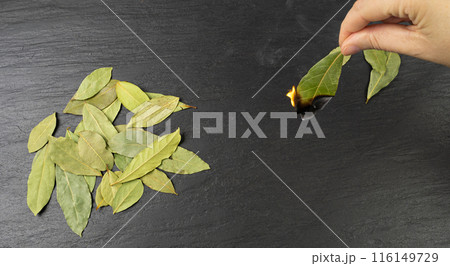 Dry Bay Leaves, Laurel Leaf, Natural Spicy Bayleaf, Fragrant Ingredient, Aromatic Spice 116149729