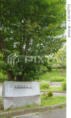【千葉県市原市】御影台公園 【千葉県市原市】御影台公園 116149753