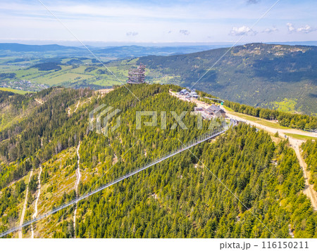 Aerial view of the Sky Bridge 721, the worlds longest suspension footbridge, stretching across a forested mountain in Czechia. The unique Sky Walk lookout tower stands nearby, offering panoramic views Aerial view of the Sky Bridge 721, the worlds longest suspension footbridge, stretching across a forested mountain in Czechia. The unique Sky Walk lookout tower stands nearby, offering panoramic views 116150211