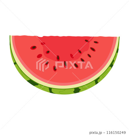 Watermelon slice. Ripe red cut watermelon. Hand drawn flat style summer fruit. Watermelon slice. Ripe red cut watermelon. Hand drawn flat style summer fruit. 116150249