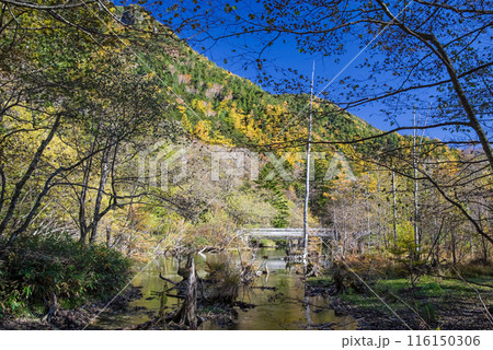 【秋の上高地】明神周辺 河童橋⇄明神(梓川右岸コース)の風景 【秋の上高地】明神周辺 河童橋⇄明神(梓川右岸コース)の風景 116150306