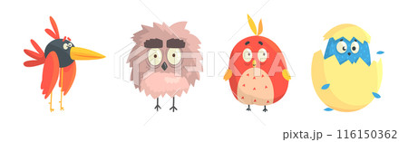 Funny Bird Comic Flying Creature with Big Eyes Vector Set 116150362