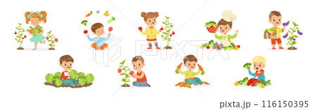 Happy Kid Character Harvesting Ripe Vegetables Vector Set Happy Kid Character Harvesting Ripe Vegetables Vector Set 116150395