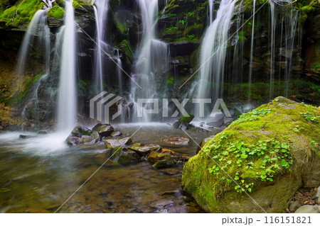 猿壺の滝 猿壺の滝 116151821