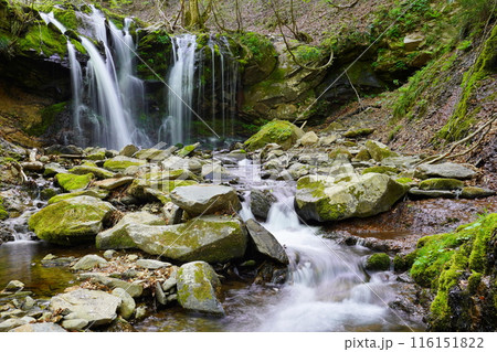 猿壺の滝 猿壺の滝 116151822