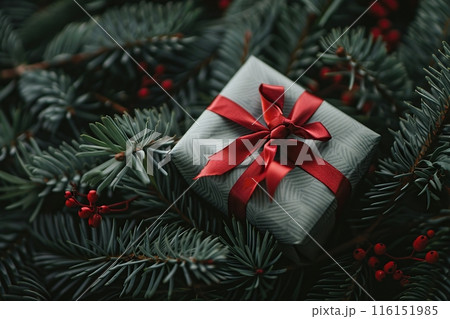 Green red gift box. Emerald gift box surrounded by natural spruce pine branches background. Minimalistic design. Neutral. Creative layout made of evergreen fir plant tree branches and Christmas gift. 116151985