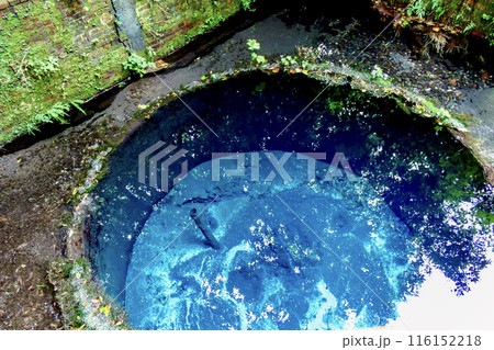 【静岡】初秋の柿田川公園　第二展望台の青い湧水 116152218
