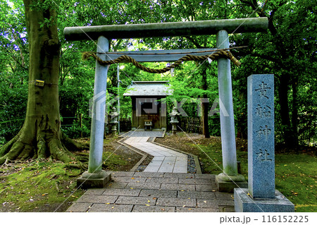 【静岡】初秋の柿田川公園　園内の貴船神社 116152225