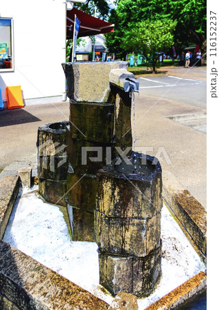 【静岡】初秋の柿田川公園　売店横の湧水水汲み場（第二） 116152237