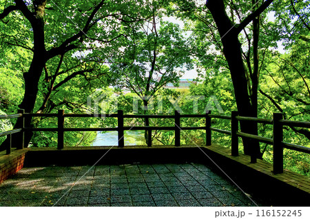 【静岡】初秋の柿田川公園　第一展望台と柿田川 116152245