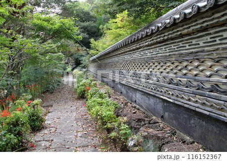 曼殊沙華の咲く山寺散策・21（臨済宗妙心寺派大智寺） 116152367